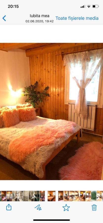 Hotel Ibis Sovata Zewnętrze zdjęcie
